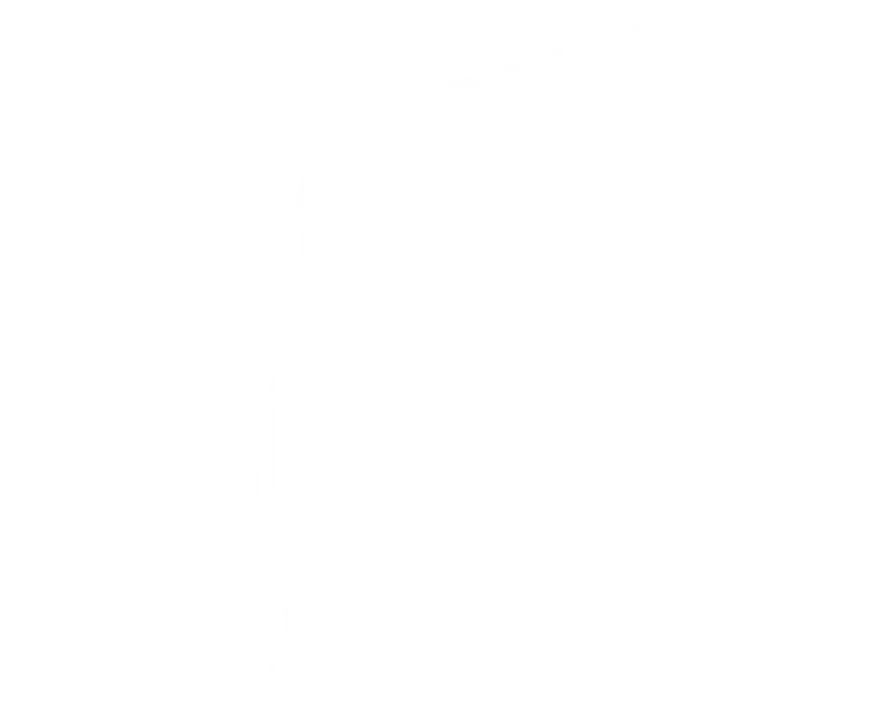 A white silhouette of a geographic area on a black background.