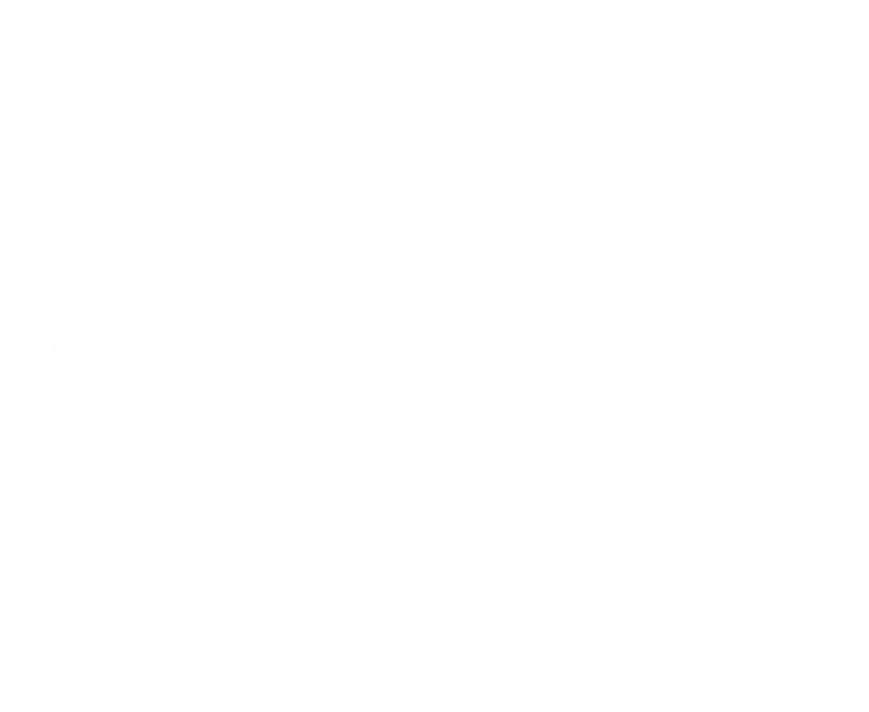A white silhouette of a geographic area on a black background.