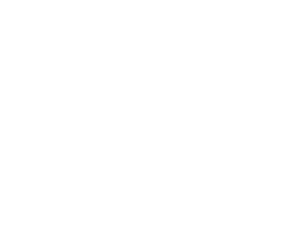A white silhouette of a geographic area on a black background.
