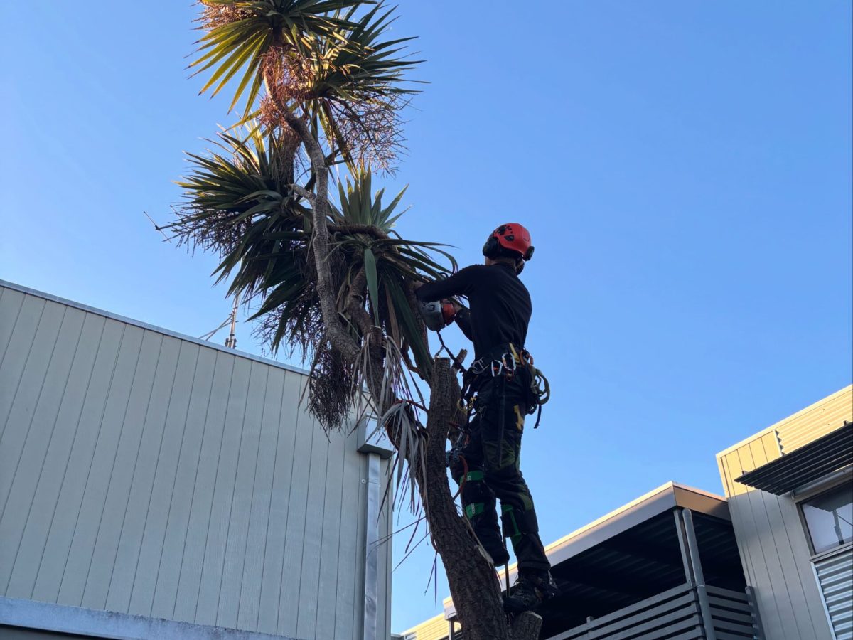 BE1A928A-6794-4A63-9DA1-4191F8BC866C