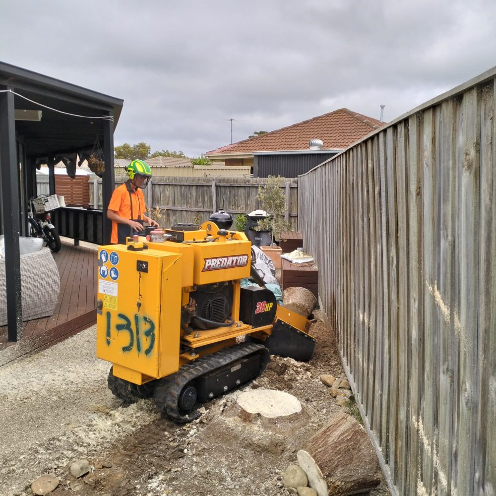 stump grinding